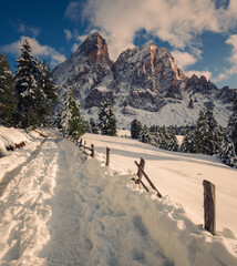 trail in the mountains with snow and wooden fence with mountains in the background - Passo delle...