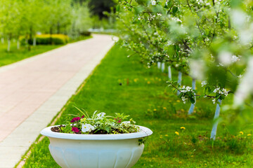 Fototapeta na wymiar Beautiful spring garden alley view with flowerbed.