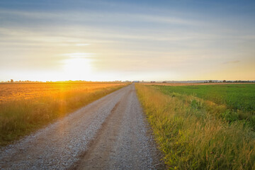 farm equipment on dirt road through fields under evening sun light
