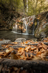 Fototapeta premium Cascade of the river in the form of a small waterfall. Green natural background.