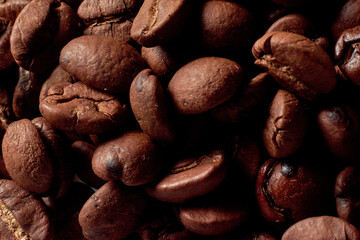 Coffee beans with smokecoffee beans in contrasting light. arabica and robusta. bright roast color