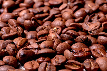 Coffee beans with smokecoffee beans in contrasting light. arabica and robusta. bright roast color