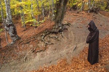 A man in a hoodie stands in a mystical forest.