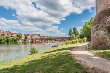 Fototapeta premium vue du Pont Vieux d'Albi, sur le Tarn