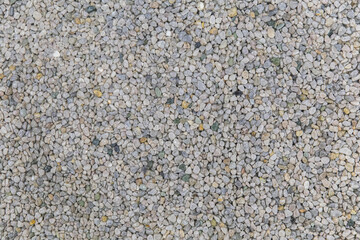 Gray pavement lined with tiny round pebbles 