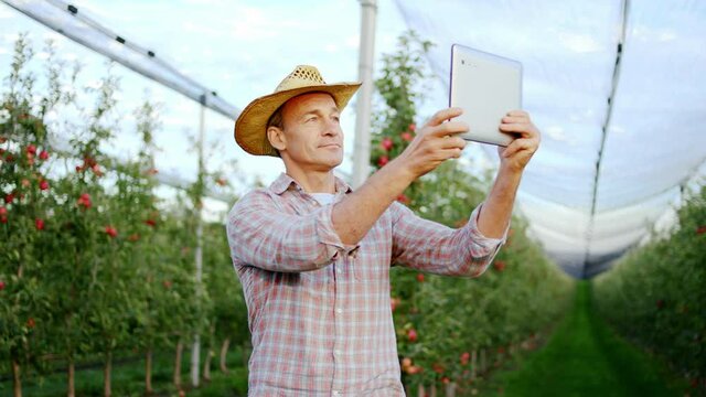 Good looking serious man farmer using modern digital tablet to make some pictures of his beautiful full of harvest orchard. Shot on ARRI Alexa Mini.