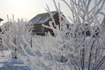 winter in Siberia snowy white trees in snowdrifts beautiful houses in the village of rime