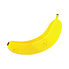Vector illustration of a fresh banana on white background