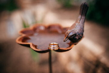 Close Up der Trauringe bei einer Hochzeit