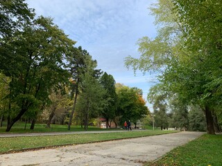 road in the park