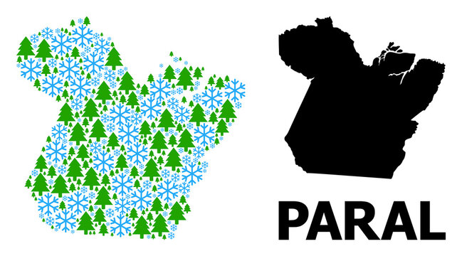 Vector mosaic map of Paral State designed for New Year, Christmas, and winter. Mosaic map of Paral State is formed from snow flakes and fir forest.