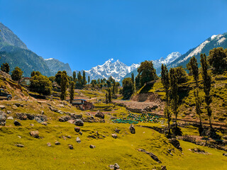 Usho is a village in Usho Valley, Khyber Pakhtunkhwa province of Pakistan. It is situated 8 kilometers from Kalam and 123 kilometers km from Mingora, at the height of 2,300 meters. It is accessible th