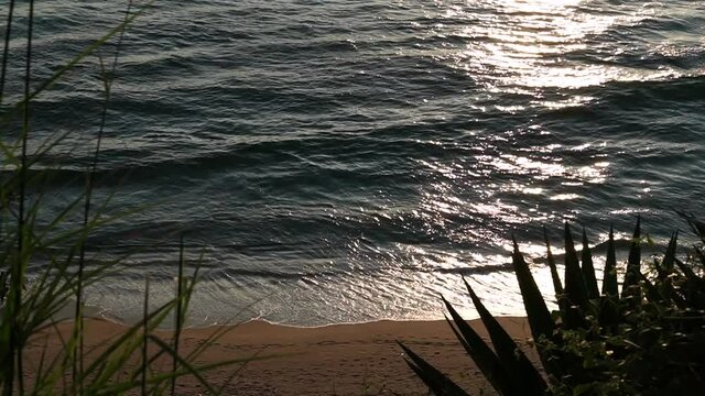 Topview of varkala beach at evening
