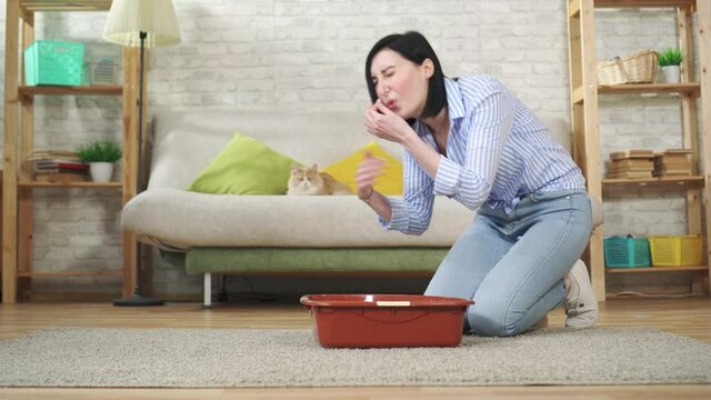 unpleasant smell from the cat toilet