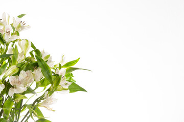 White flowers on left side of image with copy space on the right