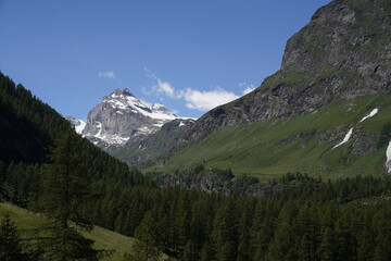 Fototapeta na wymiar Val di Rhemes, Alpi