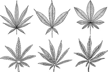 Set of Illustrations of marijuana leaf in engraving style. Design element for poster, card, banner, sign. Vector illustration - obrazy, fototapety, plakaty