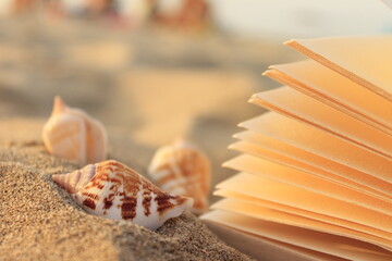 seashells on the sand with a book