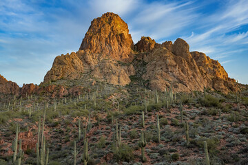 Spring landscape at sunrise of the Superstition Mountains, Apache Trail, Tonto National Forest, Arizona, USA