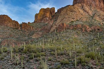 Spring landscape at sunrise of the Superstition Mountains, Apache Trail, Tonto National Forest, Arizona, USA