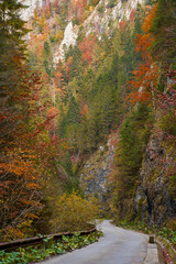 Empty road in the mountains