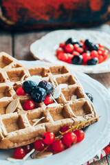 Belgian oat waffle with protein