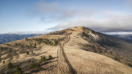 Nature. A trip out of town