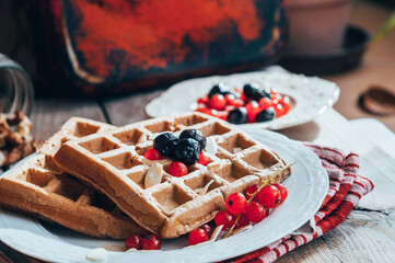 Belgian oat waffle with protein