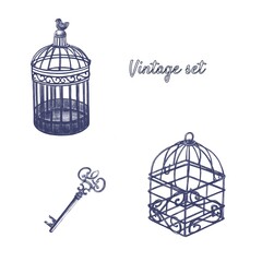 Vintage set of elements. Key, cells. Digital illustration