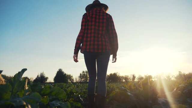 agriculture. girl farmer crop in a rubber boots walks green field grass. worker farmer goes home after harvesting working day agriculture. agribusiness subsistence agriculture