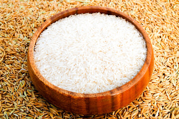 Rice in wooden  bowl on paddy rice background,Rice of famer in Thailand.