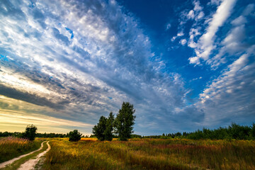 Fototapeta premium Road to the field and sky with clouds. Autumn and summer landscape.