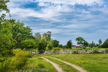 landscape with trees