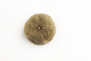moldy tangerine on a white background
