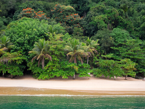Paraty, Rio de Janeiro, Brazil: landscape of a beach at the edge of the forest.