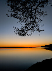 Fototapeta na wymiar Lonely Branch and Sunset at Higgins Lake Michigan USA