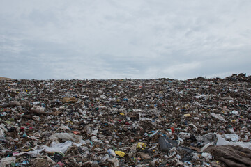 A shot of the dump in Grand Cayman