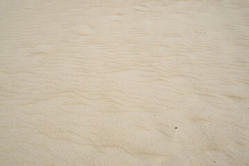 Seamless Beach Sand Surface Texture.