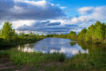 Lake in the forest on a summer evening. Beautiful natural landscape.