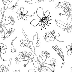 Vector seamless pattern with spring cherry with black line.Botanical, floral print hand-drawn with white background.Design for social networks,invitations,cards,packaging,textiles,web,wallpapers.