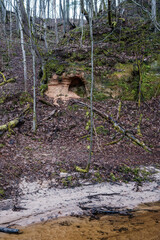 empty river bed in early spring with muddy water and wet green foliage
