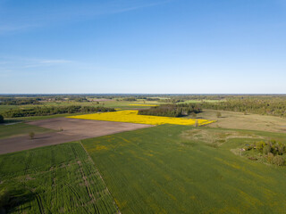 Fototapeta premium summer fields forests and roads in countryside view from above drone image