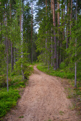 endless beautiful country gravel road in perspective