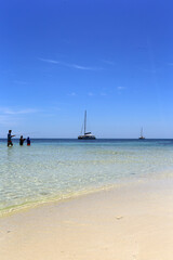 Obraz premium Fliegenfischer auf Ranguana Cay, Belize