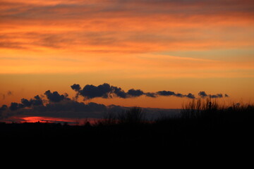Obraz premium Sonnenuntergang über einer Wiese 