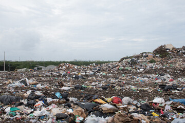 A shot of the dump in Grand Cayman