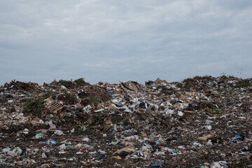A shot of the dump in Grand Cayman