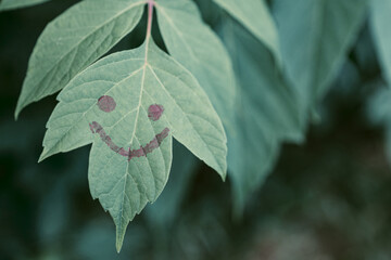 smile is drawn on a leaf of a tree