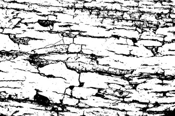 Grunge black and white. Monochrome texture of dirt, chips, and dust. Pattern of black scratches, scuffs on a white background. Abstract ink spot randomly arranged