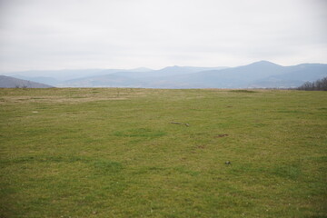 Ukraine, non urban scene, Scenic View Of Mountains. autumn scenery of foggy valley